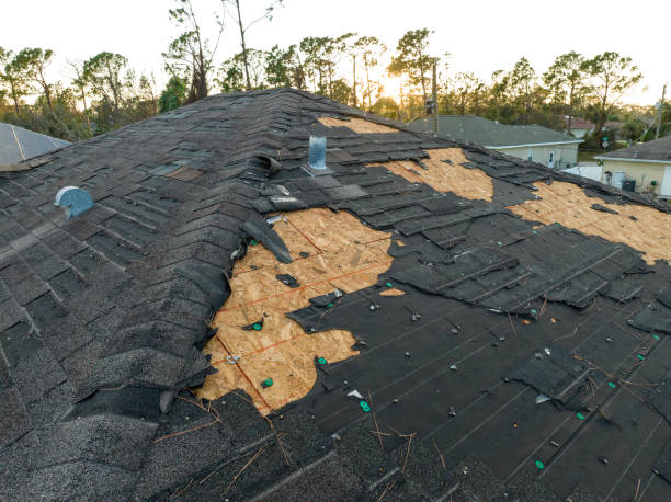 Best Wood Shake Roofing  in Buena Vista, MI