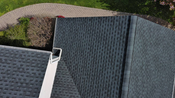 Best Roof Ventilation Installation  in Buena Vista, MI