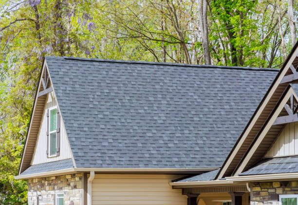 Best Roof Moss and Algae Removal  in Buena Vista, MI